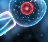 珠海助孕中心_珠海试管助孕机构_三代试管婴儿助孕