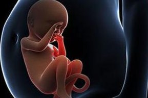 辽宁省试管婴儿那家做的比较好，辽宁省做试管婴儿哪家医院最权威