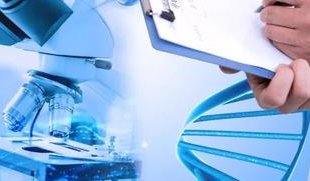 沈阳助孕行业巨头，正规性揭秘！